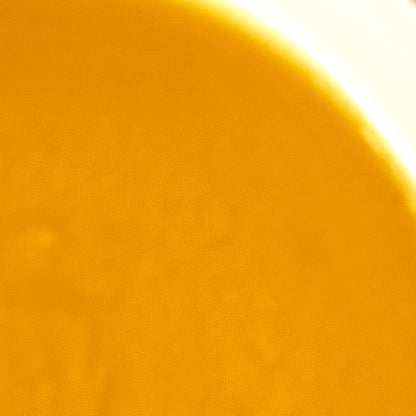 Crema de zanahoria al jengibre - ensupuntoadomicilio